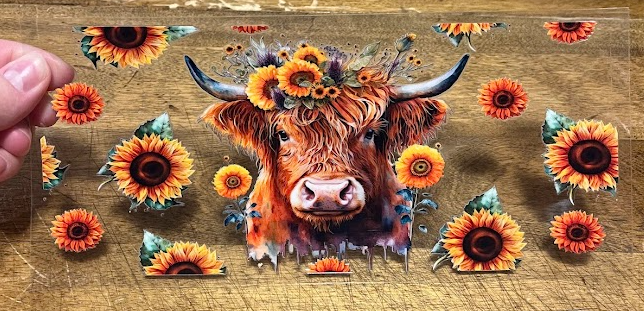 Sunflower Highland Cow Decal